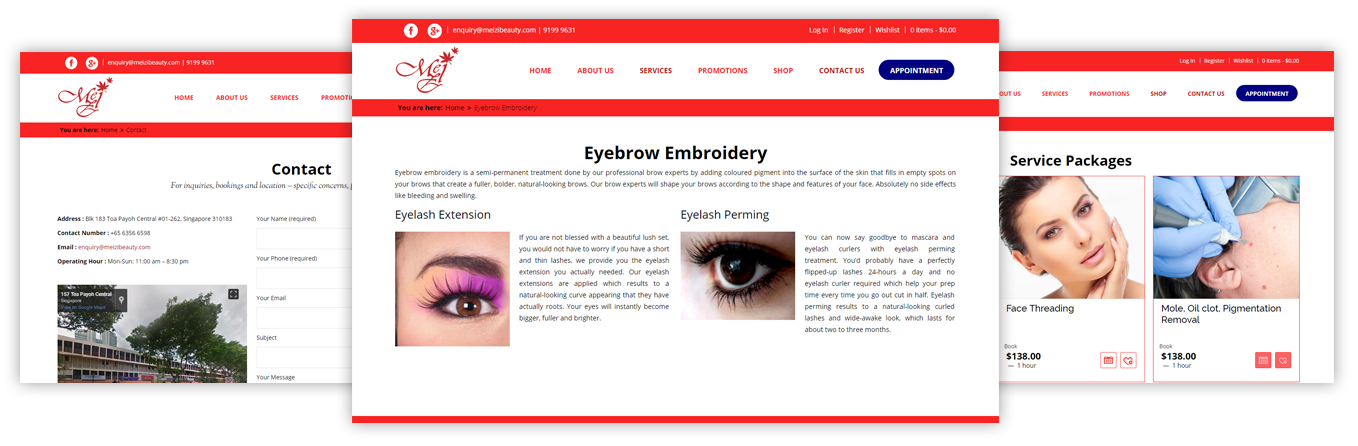 Meizi Beauty Website Strategy